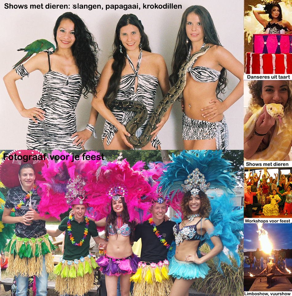 Samba danseressen en live muziek
